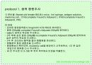 항체와 B 림프구 : 단클론 항체의 제조 51페이지