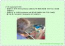 항체와 B 림프구 : 단클론 항체의 제조 54페이지