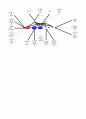 나를 중심으로 3대 가게도(genogram)를 그려서 제출 하세요 7페이지