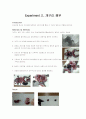 개구리 해부실험 1페이지