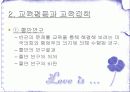 교육의기회균등과평등 파워포인트 8페이지
