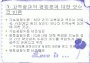 교육의기회균등과평등 파워포인트 10페이지