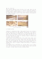 환경복원학 -한국의 하천복원사례 7페이지