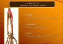 tennis elbow(외측상과염) 6페이지