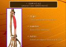 tennis elbow(외측상과염) 7페이지