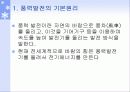풍력발전 응용 및 향후 전망 5페이지