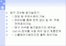 풍력발전 응용 및 향후 전망 13페이지