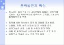 풍력발전 응용 및 향후 전망 17페이지