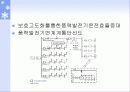 풍력발전 응용 및 향후 전망 35페이지