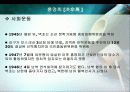정지용과 홍명희의 생애와 작품에 대하여… 11페이지