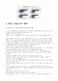 신문활용교육 레포트(NIE)  5페이지