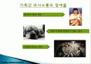 의사소통의 의의와 중요성 11페이지