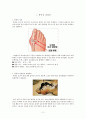 통풍성 관절염과 관절경수술 2페이지