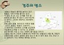 관광지 소개( 경주의 명소,축제,특산물,명물,숙박시설,swot분석 등) 8페이지