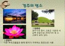 관광지 소개( 경주의 명소,축제,특산물,명물,숙박시설,swot분석 등) 9페이지