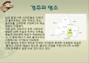 관광지 소개( 경주의 명소,축제,특산물,명물,숙박시설,swot분석 등) 11페이지