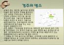 관광지 소개( 경주의 명소,축제,특산물,명물,숙박시설,swot분석 등) 13페이지