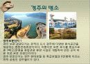 관광지 소개( 경주의 명소,축제,특산물,명물,숙박시설,swot분석 등) 14페이지
