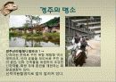 관광지 소개( 경주의 명소,축제,특산물,명물,숙박시설,swot분석 등) 16페이지