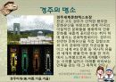 관광지 소개( 경주의 명소,축제,특산물,명물,숙박시설,swot분석 등) 17페이지