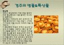 관광지 소개( 경주의 명소,축제,특산물,명물,숙박시설,swot분석 등) 22페이지