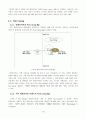[과일/채소류] 토마토 마케팅전략 16페이지