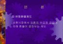 [경제학원론]환율변동에 따른 경제적 효과 6페이지