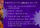 [경제학원론]환율변동에 따른 경제적 효과 14페이지