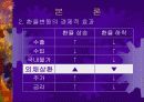 [경제학원론]환율변동에 따른 경제적 효과 18페이지