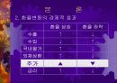[경제학원론]환율변동에 따른 경제적 효과 20페이지