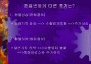 [경제학원론]환율변동에 따른 경제적 효과 21페이지