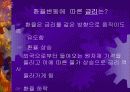 [경제학원론]환율변동에 따른 경제적 효과 23페이지