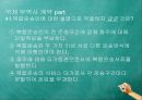 국제무역사 무역영어 계약파트 중요문제 풀이 29페이지