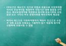 국제무역사 무역영어 계약파트 중요문제 풀이 45페이지