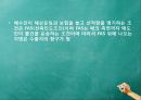 국제무역사 무역영어 계약파트 중요문제 풀이 49페이지