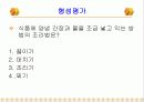 기술 가정 학습지도안 발표 ppt 41페이지