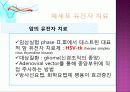 유전자검사 진단 자료 28페이지