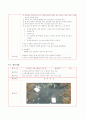 (영유아 프로그램개발과 평가) 환경교육을 통합 환경보전의식 증진프로그램 9페이지