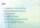 (교정복지론)청소년성매매(원조교제)와 교정복지 ppt 21페이지