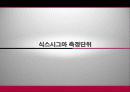 식스시그마 및 성공사례 13페이지