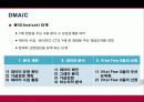 식스시그마 및 성공사례 24페이지