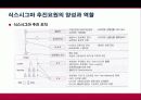 식스시그마 및 성공사례 27페이지
