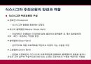 식스시그마 및 성공사례 28페이지
