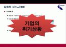 식스시그마 및 성공사례 43페이지