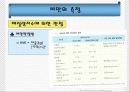 비만관련 요약정리 자료  14페이지