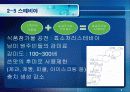 인공감미료 8페이지