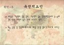 폐암의 원인과 치료 식이요법 17페이지