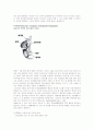  Urinary Tract Infection(UTI)- 요로감염증 21페이지