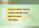 옥션 베스트 100 4페이지