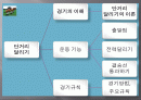 중등 단거리달리기 수업 2페이지